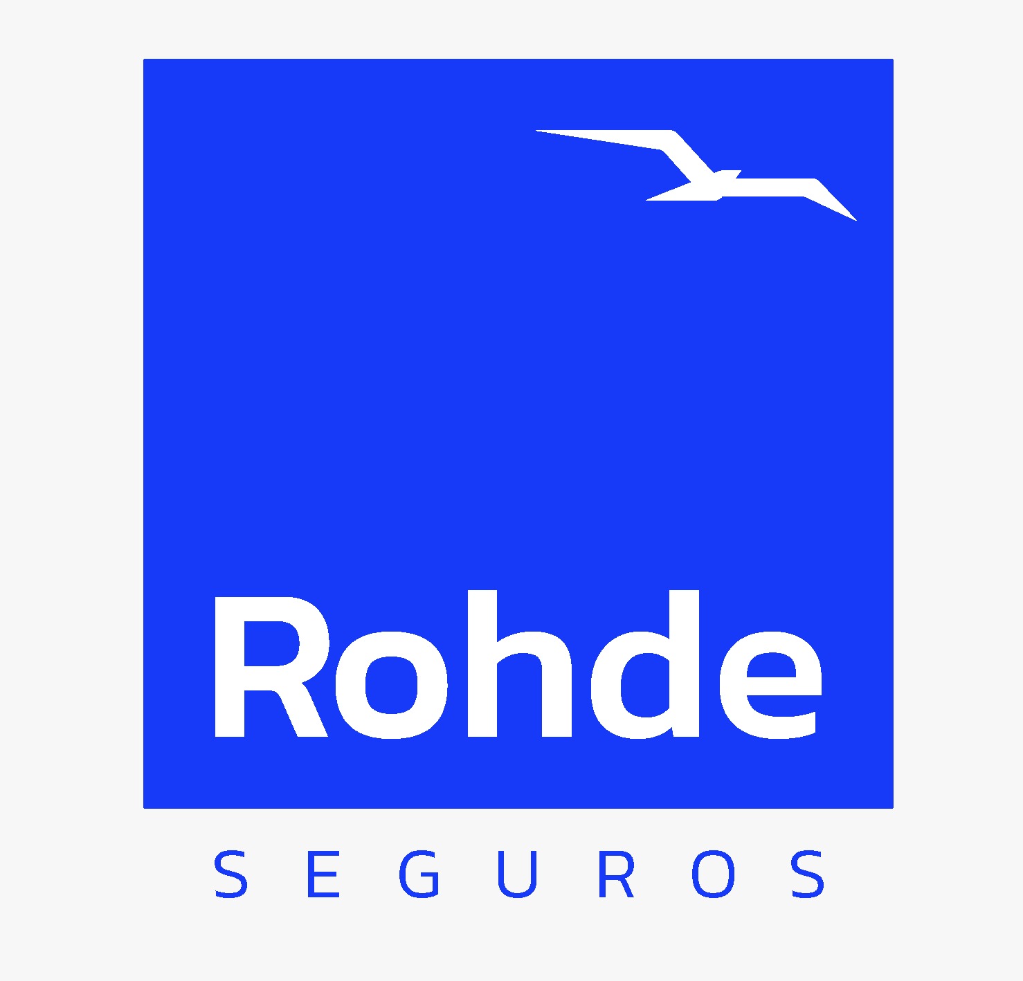 Rohde Seguros