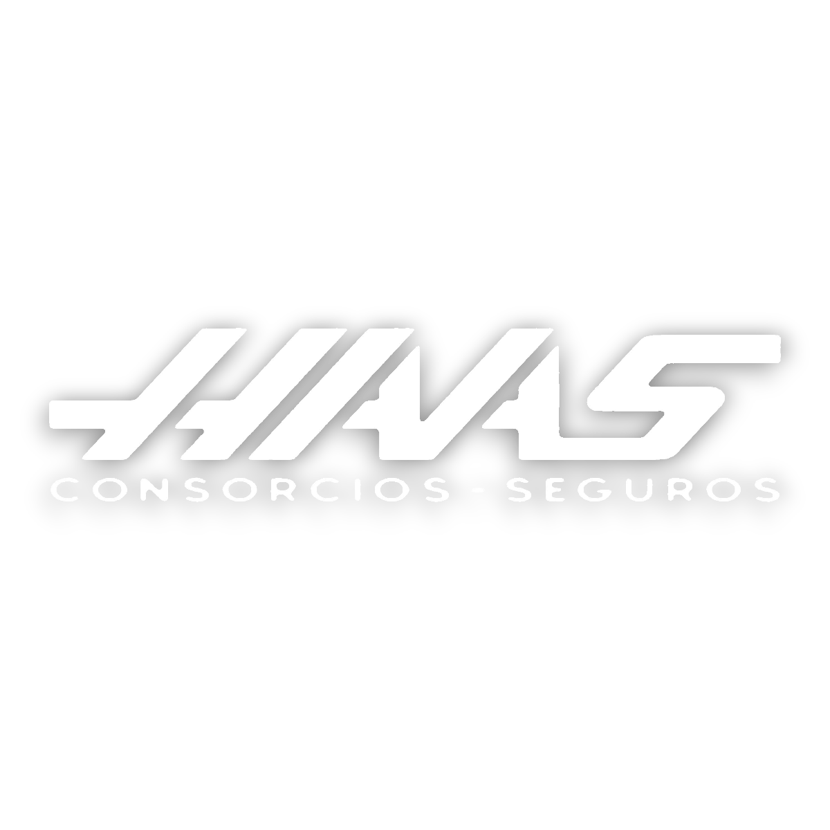 HAAS SEGURADORA